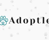 Play Adoptle now!