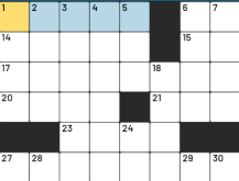 Crossword Puzzles 1