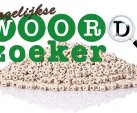 Play Dagelijkse Woordzoeker now!