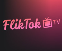 Play Fliktok now!
