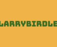 Play Larry Birdle now!