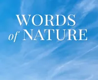 Play Words of Nature Game now!