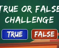 True or False Challenge