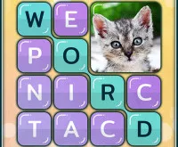 Word Search Pictures